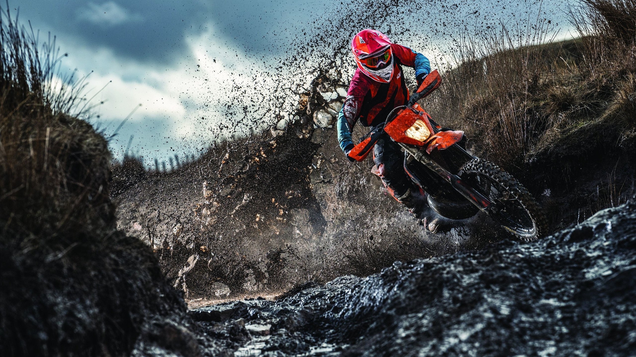 爱游戏全站注册-WRC年度盛典：车手、车队、赛道全景回顾，wrc车手总冠军