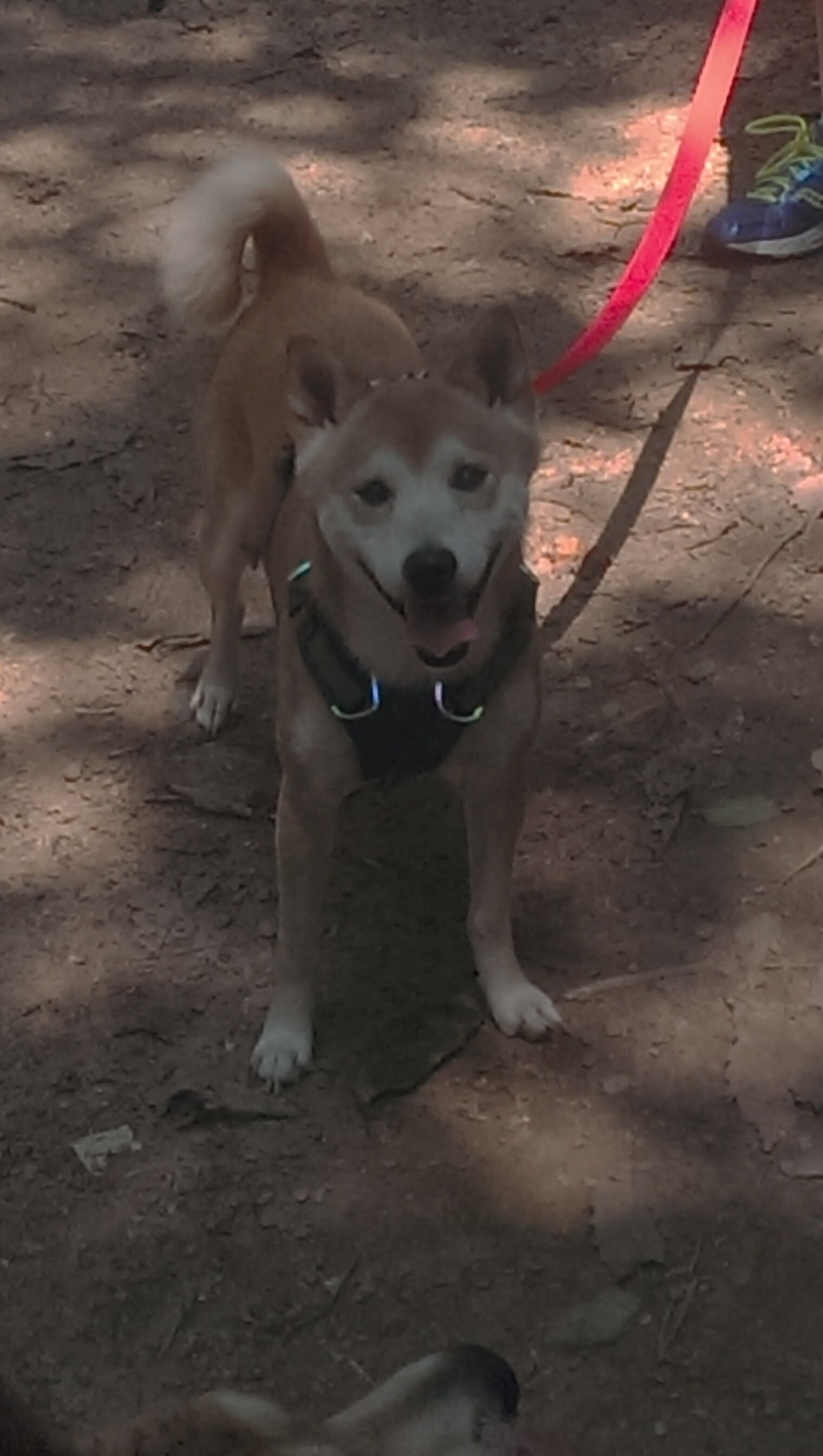爱游戏内容中心-_城市夜跑的魅力：点亮城市的运动激情_，夜景跑道