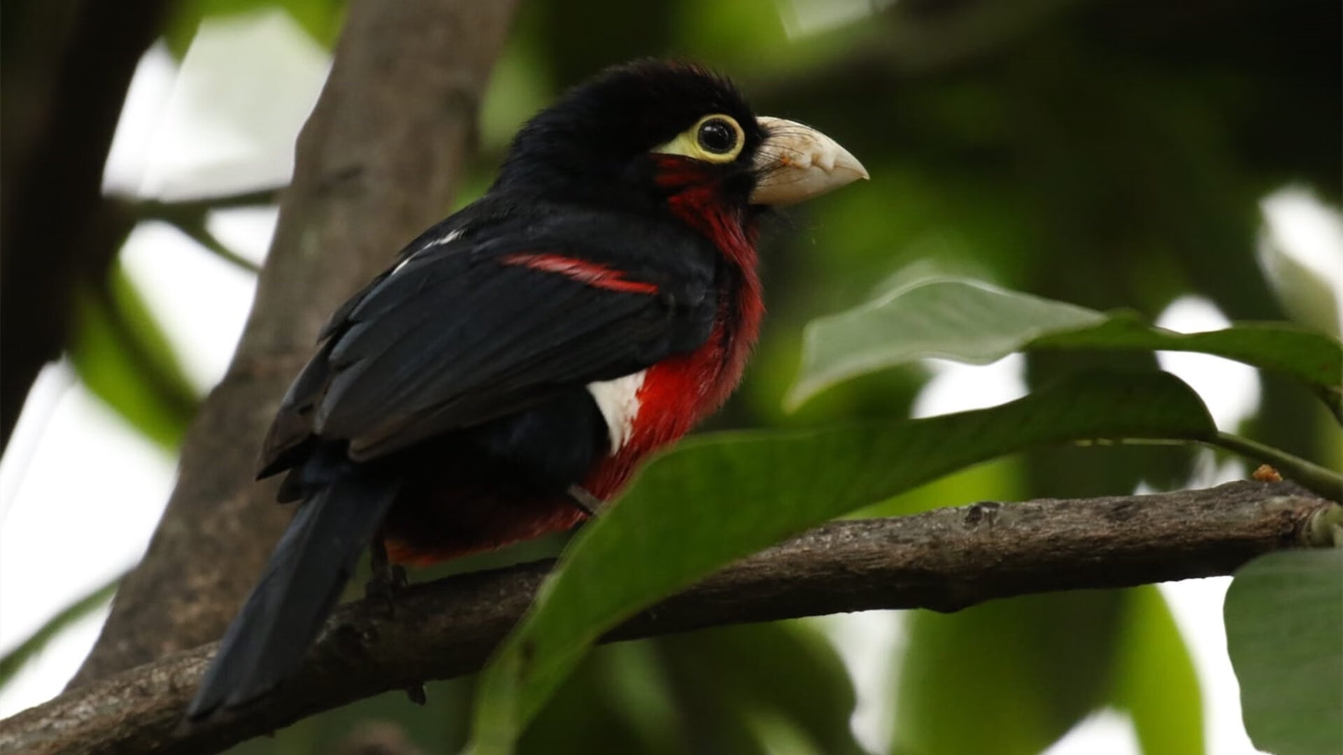 爱游戏智能平台-“逆境中的英雄：车手在极端天气中勇往直前”